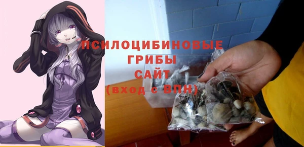трава Магадан