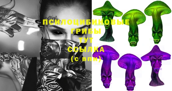 соль курить ск Липки