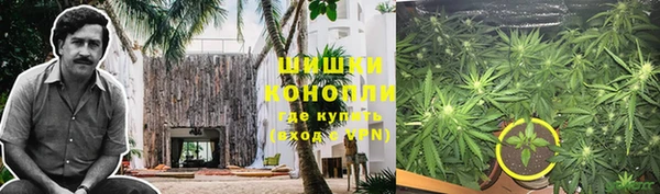 трава Магадан