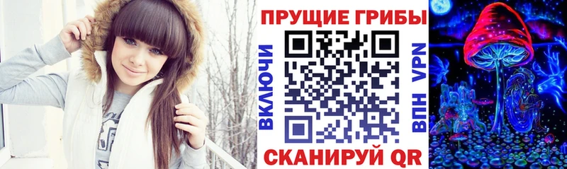 Псилоцибиновые грибы MAGIC MUSHROOMS  где купить наркоту  Лебедянь 